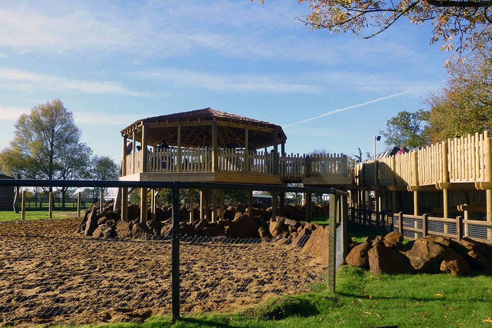 Giraffe viewing stand, Whipsnade, Stonehouse Consultants